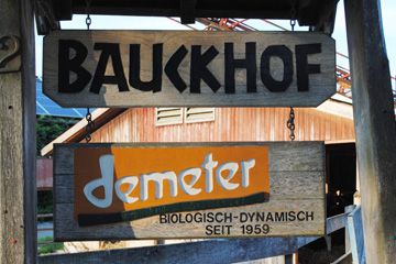 despre bauckhof